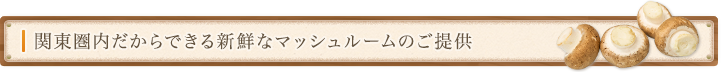 関東圏内だからできる新鮮なマッシュルームのご提供