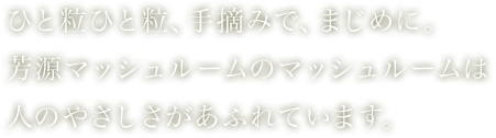 ひと粒ひと粒、手摘みで、まじめに。芳源マッシュルームのマッシュルームは人のやさしさがあふれています。