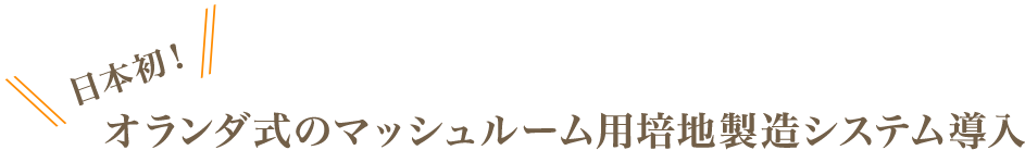 日本初！ オランダ式のマッシュルーム用培地製造システム導入　