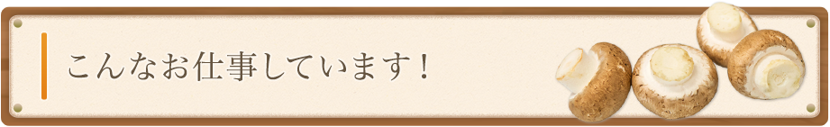 こんなお仕事しています！