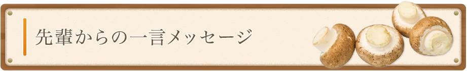 先輩からの一言メッセージ