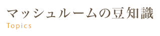 マッシュルームの豆知識